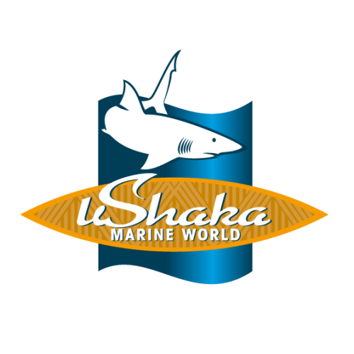 Pro Ex Paving - uShaka Marine World Project